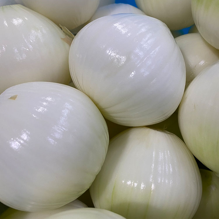 普通剝き玉蔥