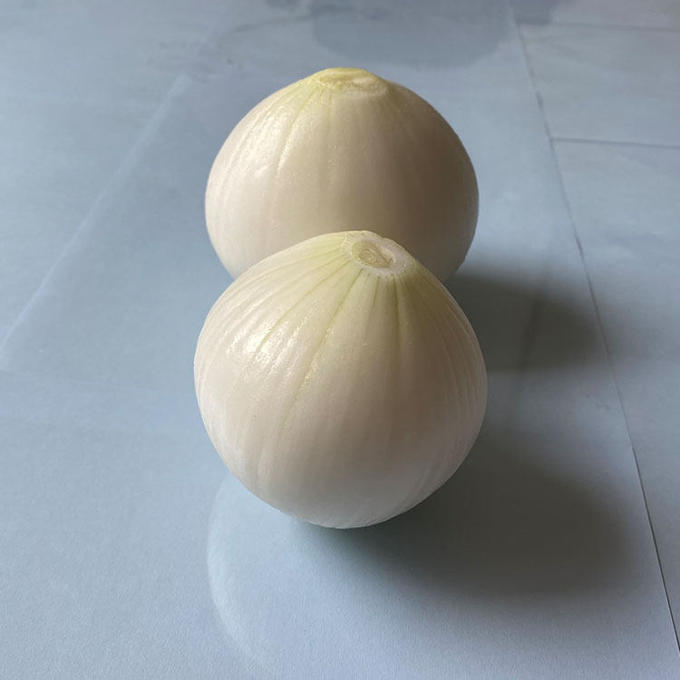普通剝き玉蔥